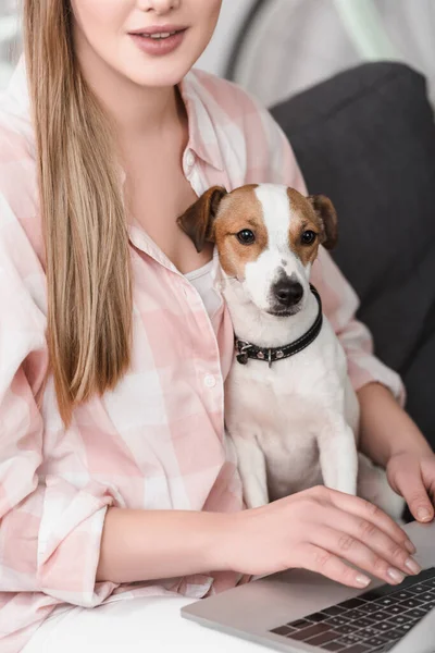 Cropped view of woman sitting on couch with jack russell terrier and using laptop — Stock Photo