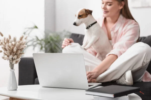 Portátil en la mesa de café cerca de la mujer con el perro sobre fondo borroso - foto de stock