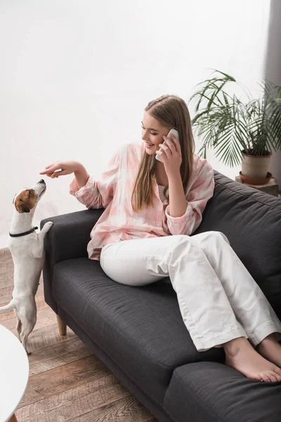 Cheerful woman sitting on couch, playing with jack russell terrier and talking on smartphone — Stock Photo