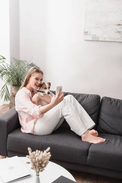 Mulher alegre tomando selfie com jack russell terrier na sala de estar — Fotografia de Stock