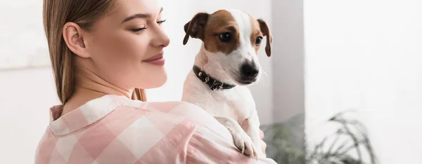 Young cheerful woman holding in arms jack russell terrier in living room, banner — Stock Photo