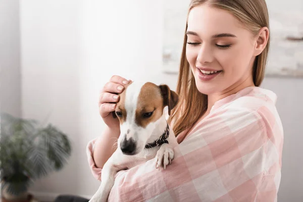 Joven alegre mujer celebración en brazos y abrazo jack russell terrier en sala de estar - foto de stock