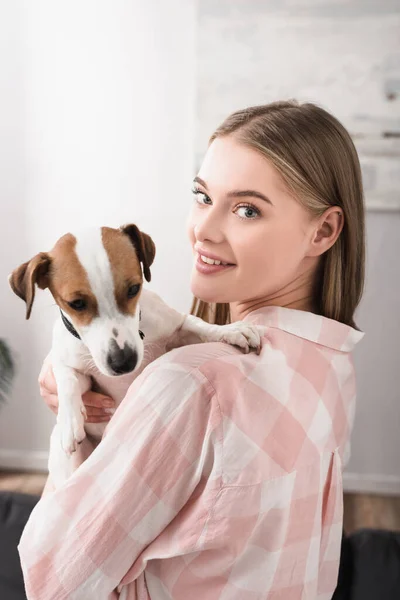 Mulher feliz segurando nos braços jack russell terrier na sala de estar — Fotografia de Stock