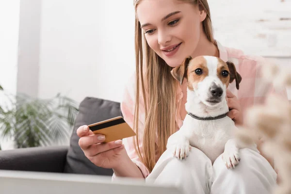 Feliz joven mujer sosteniendo tarjeta de crédito cerca de jack russell terrier en sala de estar - foto de stock