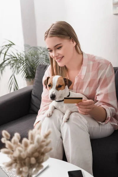 Happy young woman holding credit card near jack russell terrier and gadgets — Stock Photo