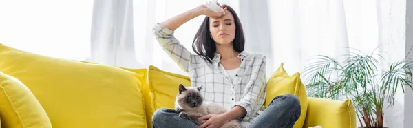 Mulher alérgica que sofre de dor de cabeça enquanto sentado no sofá amarelo com gato, banner — Fotografia de Stock