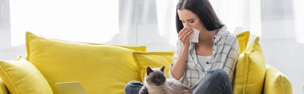 Allergische Frau niest in Papierserviette, während sie mit Katze auf Sofa sitzt, Banner — Stockfoto