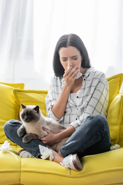 Femme allergique avec les yeux fermés tenant une serviette en papier tout en étant assis sur le canapé avec chat — Photo de stock