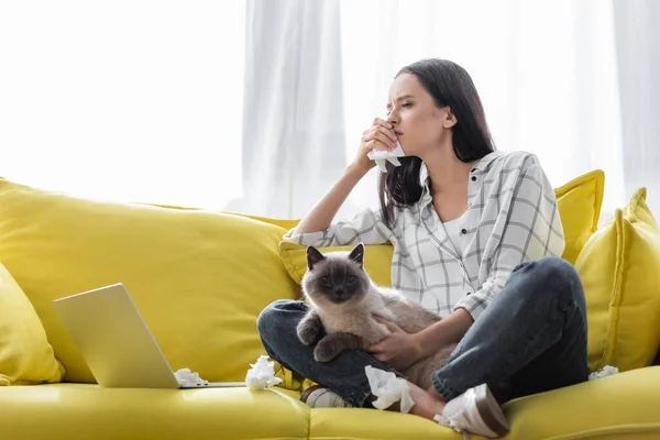 Jeune pigiste souffrant d'allergie tout en étant assis sur le canapé avec chat près d'un ordinateur portable — Photo de stock
