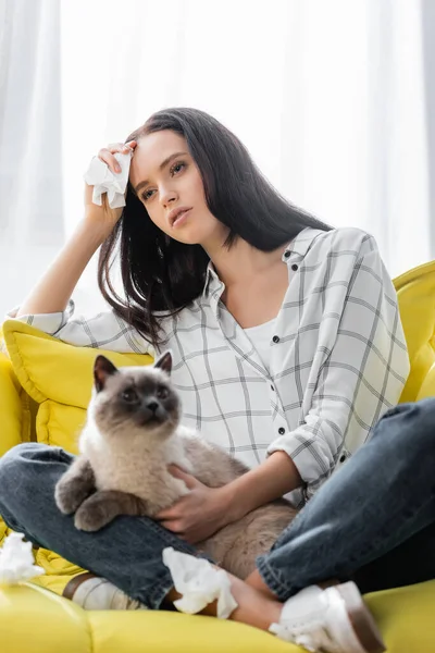 Junge Frau hält Papierserviette, während sie mit Katze auf Sofa sitzt und an Allergie leidet — Stockfoto