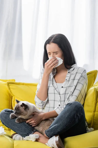 Mujer joven estornudando en servilleta de papel mientras está sentada en el sofá con el gato y sufre de alergia - foto de stock