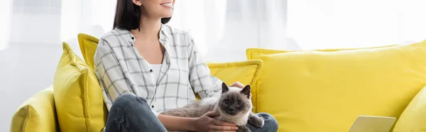 Vista parcial de la mujer sonriente sentada en un sofá amarillo con gato, pancarta - foto de stock