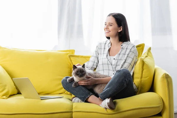 Feliz freelancer sentado en el sofá amarillo con el gato cerca del ordenador portátil - foto de stock