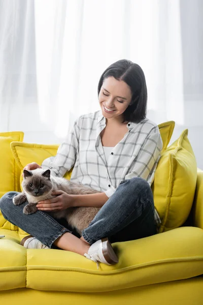 Glückliche Frau kuschelt Katze, während sie mit überkreuzten Beinen auf dem Sofa sitzt — Stockfoto