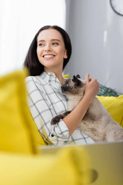 Mulher alegre olhando embora enquanto abraçando gato em primeiro plano desfocado — Fotografia de Stock