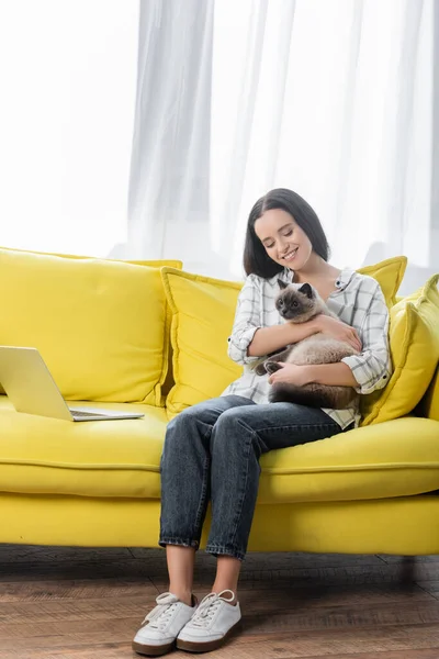 Улыбающийся фрилансер сидит на диване рядом с ноутбуком и обнимает пушистую кошку — стоковое фото