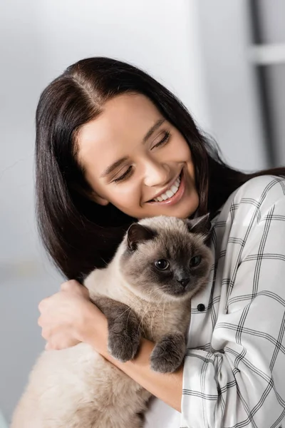 Felice giovane donna sorridente mentre abbraccia il gatto a casa — Foto stock