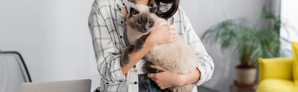 Vista parcial de la mujer sosteniendo esponjoso gato en casa, bandera - foto de stock