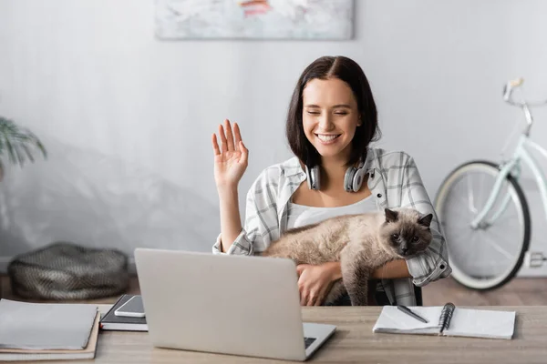 Веселый фрилансер держит кота и машет рукой во время видеозвонка на ноутбуке — стоковое фото