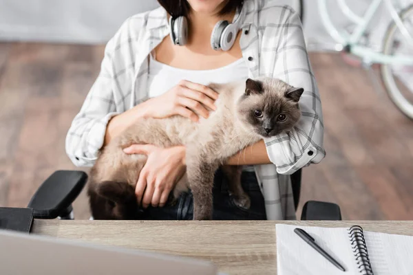 Vista parcial del freelancer acariciando gato mientras está sentado en la mesa - foto de stock