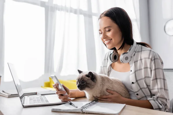 Allegro freelance chatta su smartphone mentre è seduto vicino al computer portatile con gatto — Foto stock