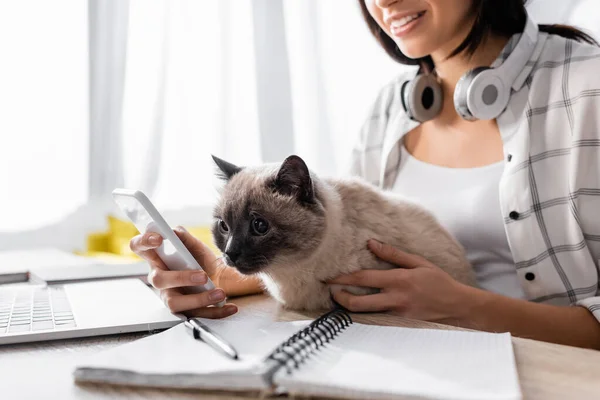 Vista recortada de la sonriente mensajería freelancer en el teléfono inteligente mientras está sentado con el gato cerca de portátil en primer plano borrosa - foto de stock
