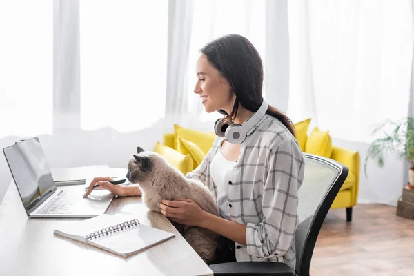 Freelancer sorrindo digitando no laptop enquanto sentado à mesa com gato — Fotografia de Stock