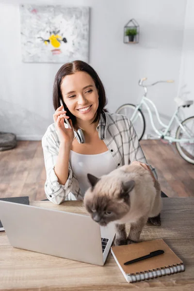 Cheerful freelancer talking on mobile phone near cat and laptop on table — Stock Photo