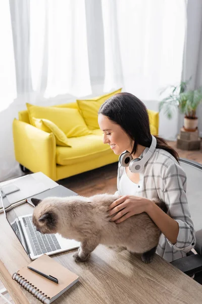 Flauschige Katze neben lächelndem Freiberufler und Laptop auf dem Tisch — Stockfoto