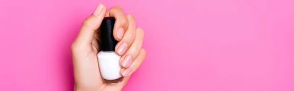 Vista dall'alto della mano femminile curata della bottiglia con smalto bianco su sfondo rosa, banner — Foto stock