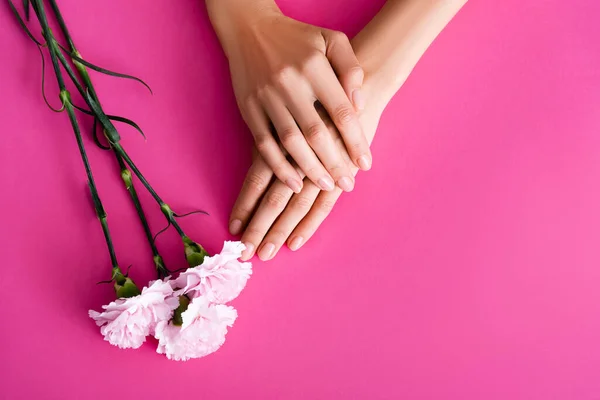 Top view of female hands with glossy pastel manicure near carnation flowers on pink background — Stock Photo