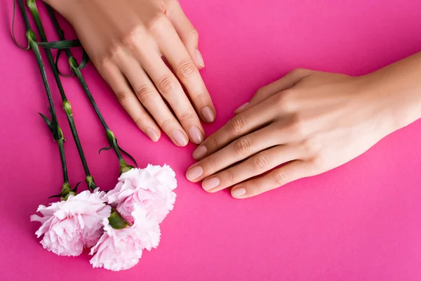 Vista dall'alto di mani femminili con manicure pastello vicino a fiori di garofano su sfondo rosa — Foto stock