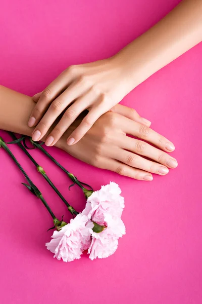 Top view of female hands with glossy manicure near carnation flowers on pink background — Stock Photo