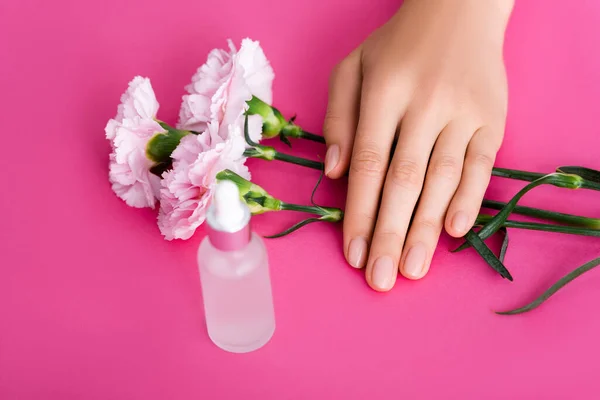 Vista ritagliata della mano femminile vicino bottiglia di rimozione cuticole e fiori di garofano su sfondo rosa — Foto stock