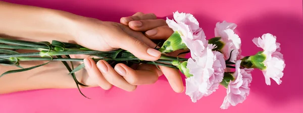 Vista cortada da mulher com manicure brilhante segurando flores do cravo no fundo rosa, banner — Fotografia de Stock