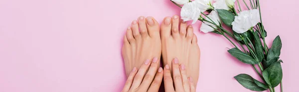 Draufsicht auf weiße Eustoma-Blüten in der Nähe gepflegter weiblicher Hände und Füße auf rosa Hintergrund, Banner — Stockfoto