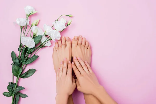 Draufsicht auf gepflegte weibliche Hände und Füße in der Nähe weißer Eustoma-Blumen auf rosa Hintergrund — Stockfoto