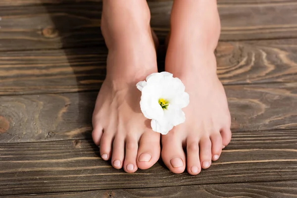 Top view of white eustoma flower near female feet with glossy pedicure on brown wooden surface — Stock Photo