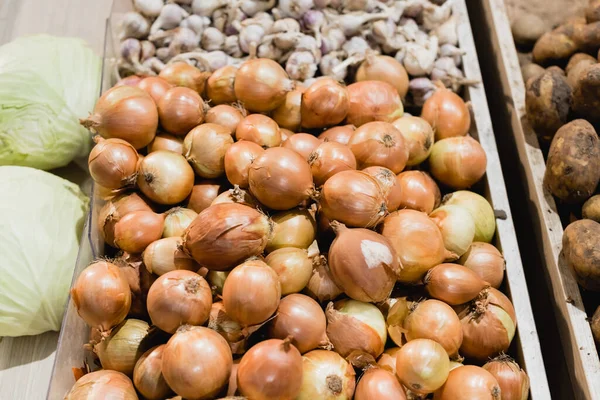 Vista de alto ângulo de vegetais frescos no supermercado — Fotografia de Stock