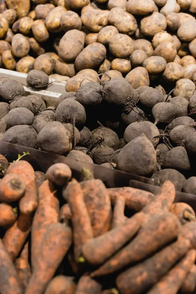 Remolachas cerca de zanahorias y patatas sobre fondo borroso en el supermercado - foto de stock