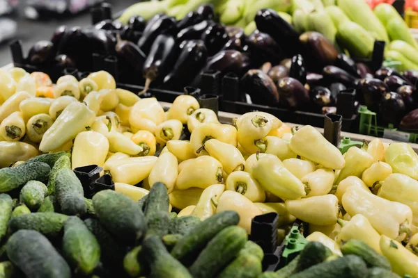 Organic peppers near cucumbers and eggplants on blurred background in supermarket — Stock Photo