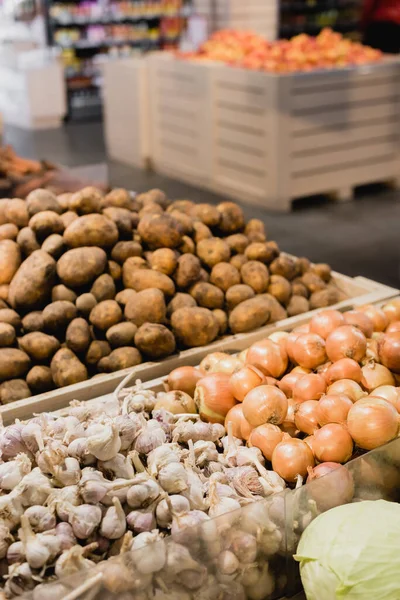Fresh vegetables on counter in supermarket on blurred background — Stock Photo