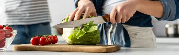 Teilansicht einer Frau, die Salat in der Nähe von Zutaten auf dem Küchentisch schneidet, und ihres Freundes auf verschwommenem Hintergrund, Banner — Stockfoto