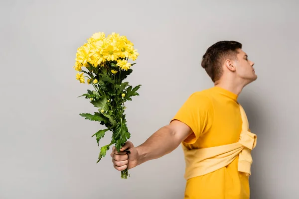 Yellow chrysanthemums in hand of man blurred on grey background — Stock Photo