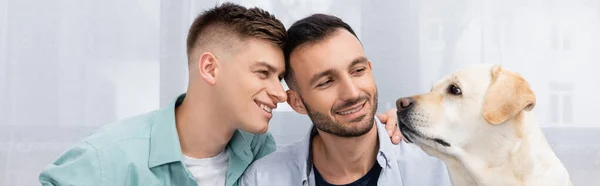 Feliz pareja del mismo sexo sonriendo y mirando labrador, pancarta - foto de stock