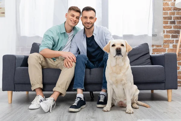 Same sex couple sitting on sofa near dog in living room — Stock Photo