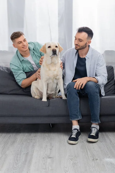 Cheerful same sex couple smiling and cuddling labrador on couch — Stock Photo