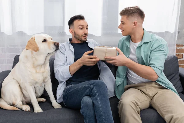 Amazed homosexual man looking at valentines present near husband and dog — Stock Photo