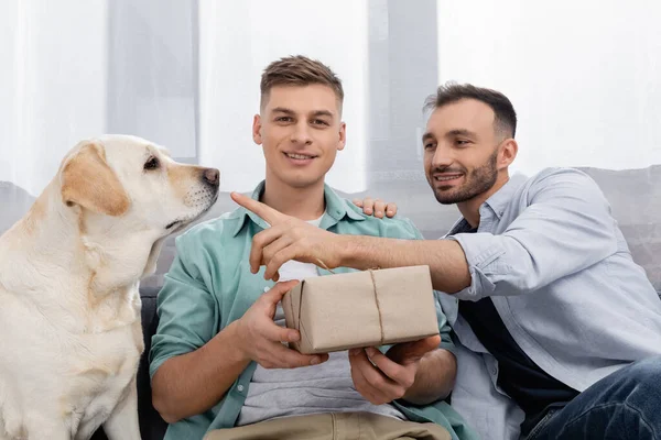 Happy homosexual man holding valentines present near husband pointing with finger at dog — Stock Photo