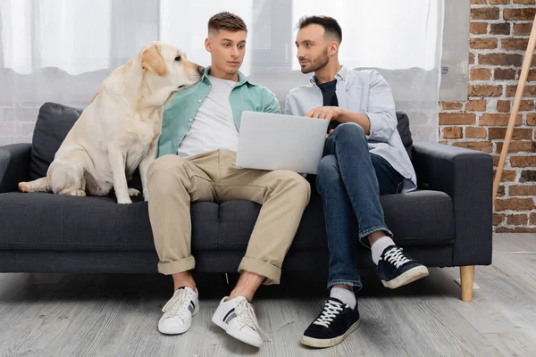 Stesso sesso coppia guardando film su laptop vicino cane in soggiorno — Foto stock